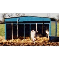 nourrisseur à veaux simple 3m avec parc + abris 12m2