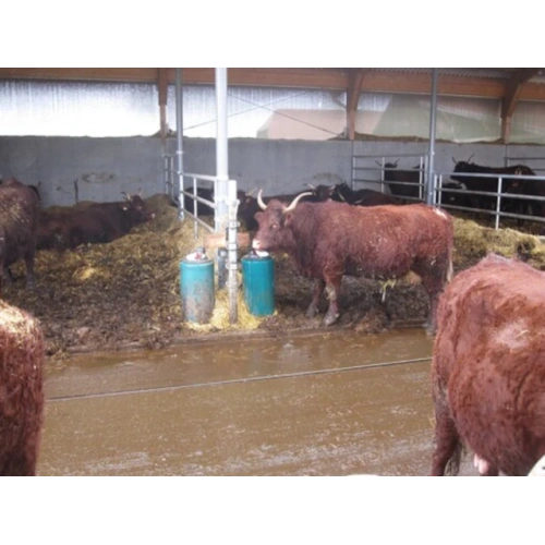 Abreuvoir chauffant RICO SUEVIA 41A